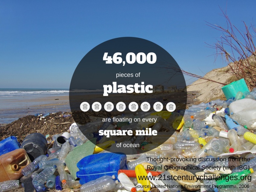 Plastic Pollution In The Ocean | 21St Century Challenges